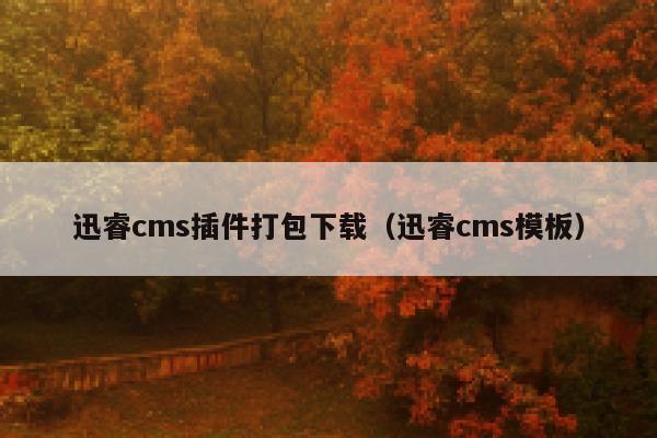 迅睿cms插件打包下载，迅睿cms模板