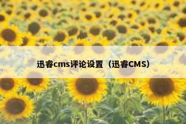 迅睿cms评论设置，迅睿CMS