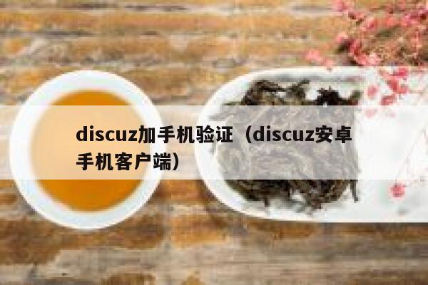 Discuz加手机验证，Discuz安卓手机客户端