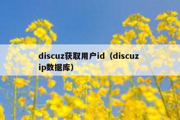 discuz获取用户id，discuz ip数据库