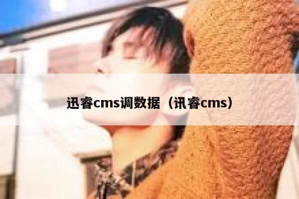 xunruicms调数据，讯睿cms
