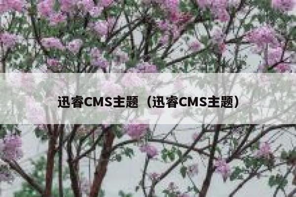 迅睿CMS主题，迅睿CMS主题