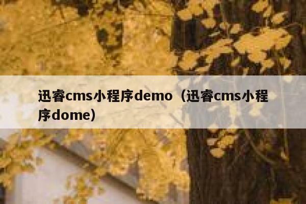 xunruicms小程序demo，xunruicms小程序dome