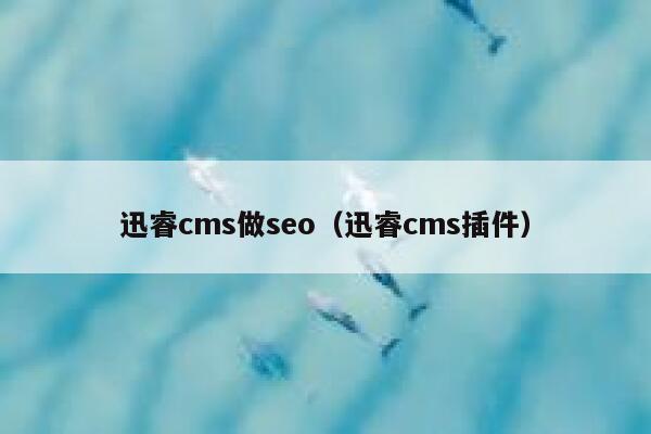 迅睿cms做seo，迅睿cms插件