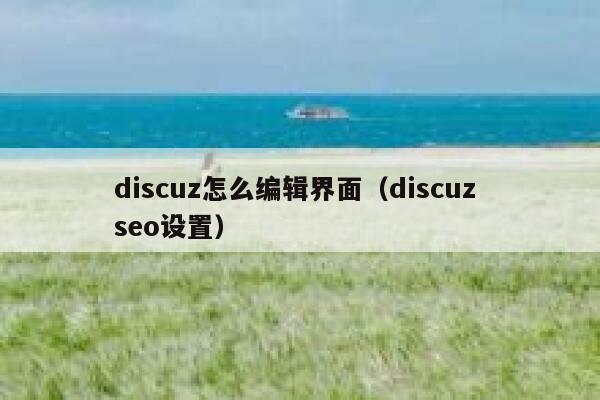Discuz怎么编辑界面，Discuz seo设置