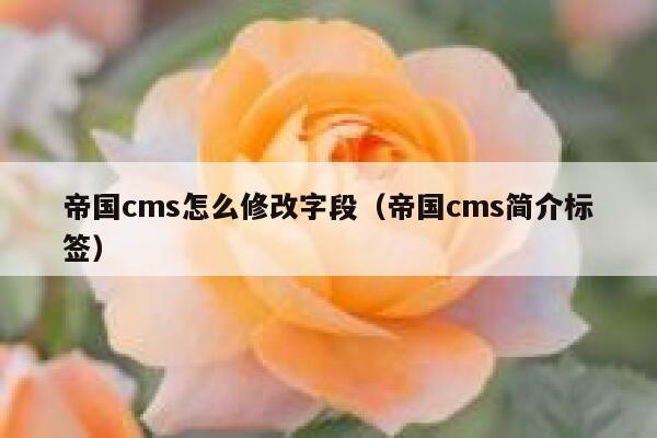 帝国CMS怎么修改字段，帝国CMS简介标签