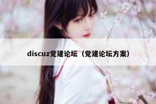 discuz党建论坛，党建论坛方案