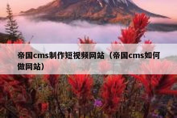 帝国CMS制作短视频网站，帝国CMS如何做网站