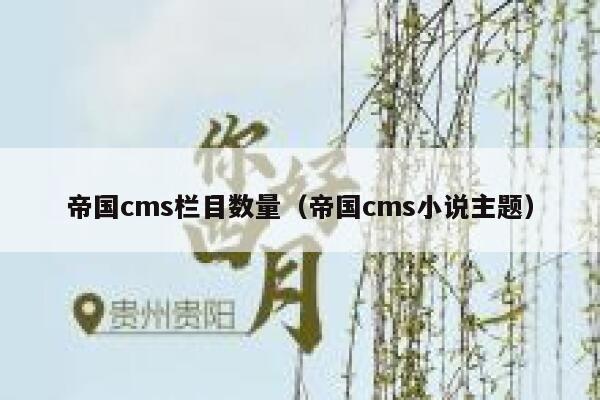 帝国cms栏目数量，帝国cms小说主题