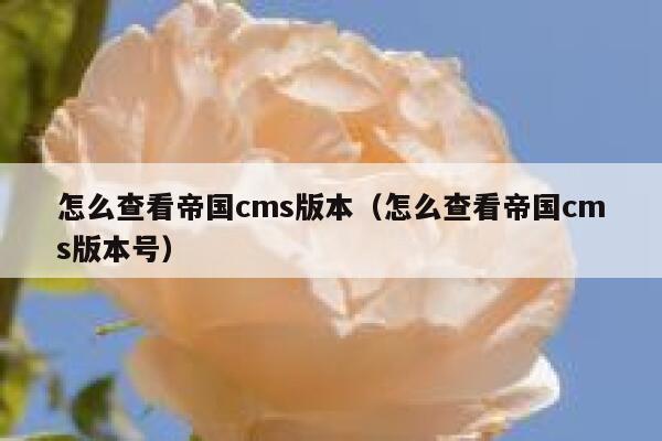 怎么查看帝国cms版本，怎么查看帝国cms版本号