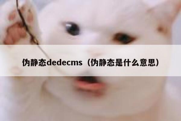 伪静态织梦dedecms，伪静态是什么意思
