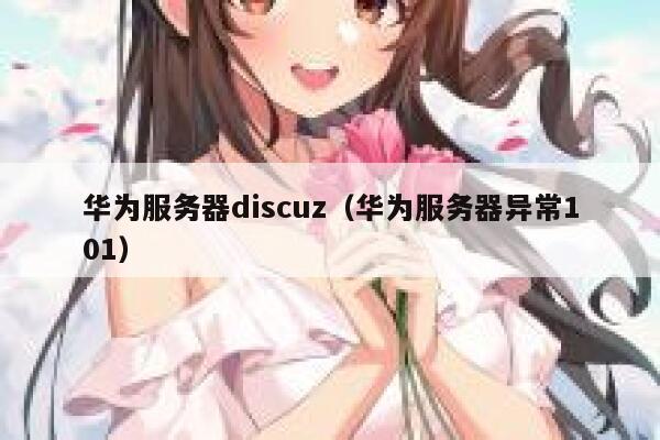 华为服务器Discuz，华为服务器异常101