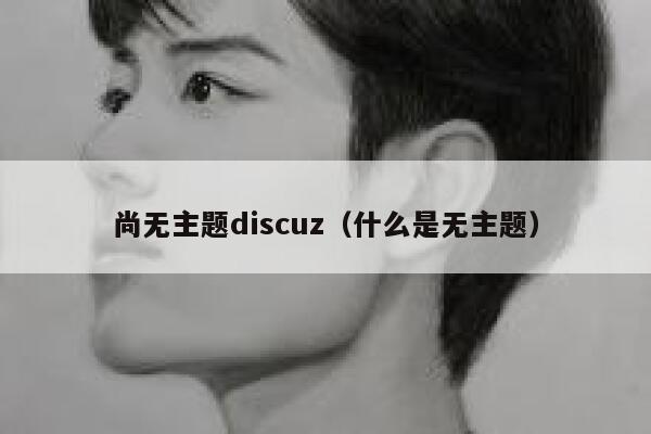 尚无主题discuz，什么是无主题