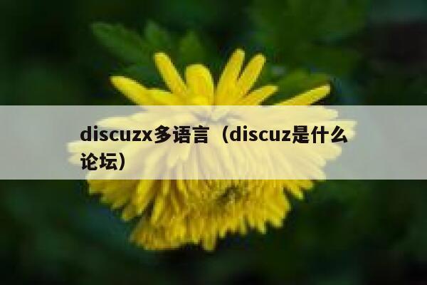 discuzx多语言，discuz是什么论坛