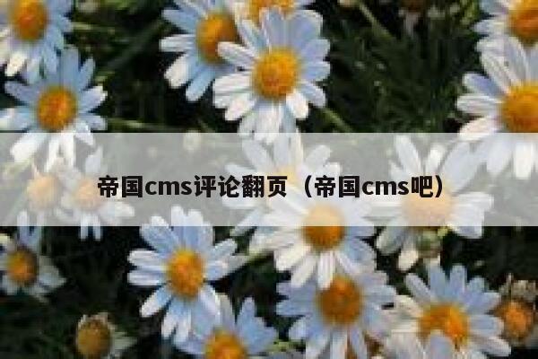帝国CMS评论翻页，帝国CMS吧