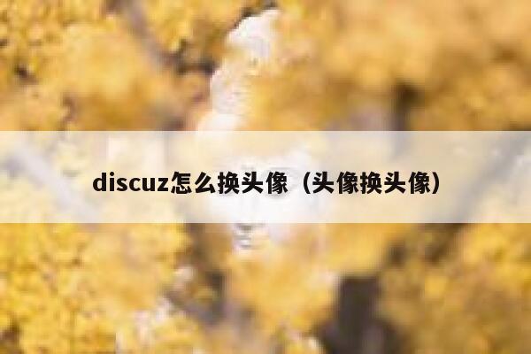 Discuz怎么换头像，头像换头像