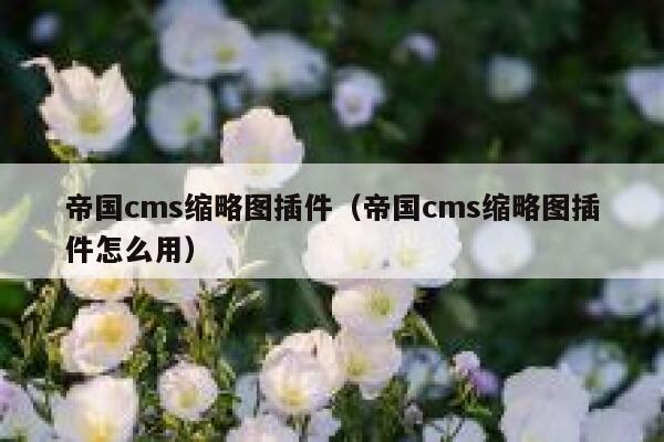 帝国CMS缩略图插件，帝国CMS缩略图插件怎么用