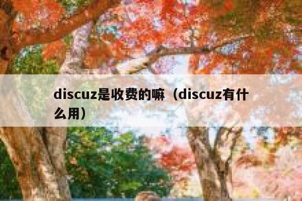 Discuz是收费的嘛，Discuz有什么用