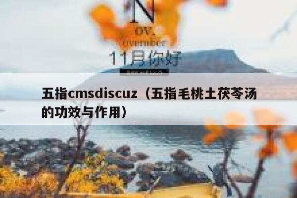 五指cmsDiscuz，五指毛桃土茯苓汤的功效与作用