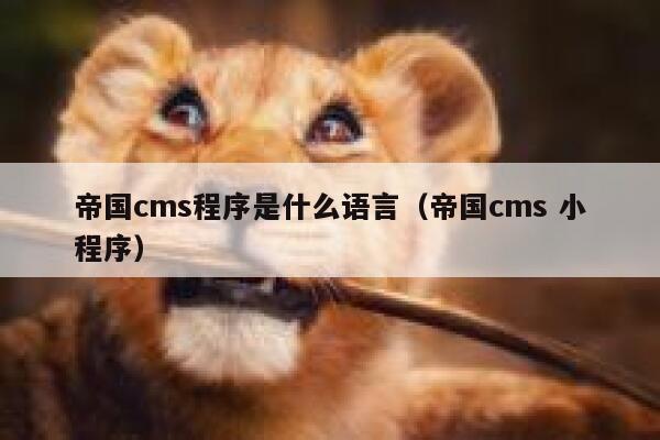 帝国cms程序是什么语言，帝国cms 小程序