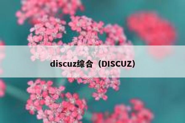 Discuz综合，DISCUZ