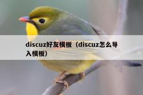 Discuz好友模板，Discuz怎么导入模板