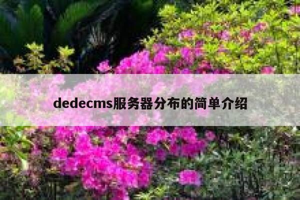 dedecms服务器分布的简单介绍 第1张