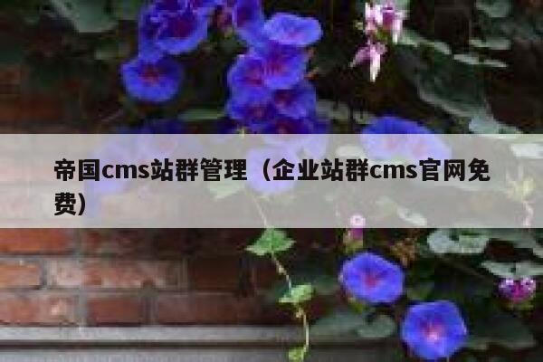 帝国cms站群管理，企业站群cms官网免费