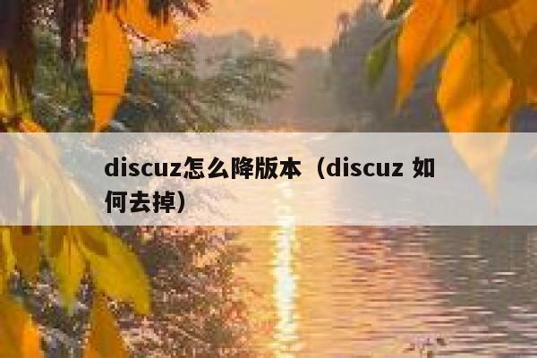 Discuz怎么降版本，Discuz 如何去掉