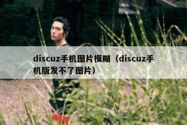 Discuz手机图片模糊，Discuz手机版发不了图片