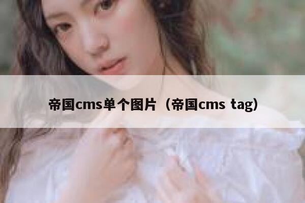 帝国CMS单个图片，帝国CMS tag