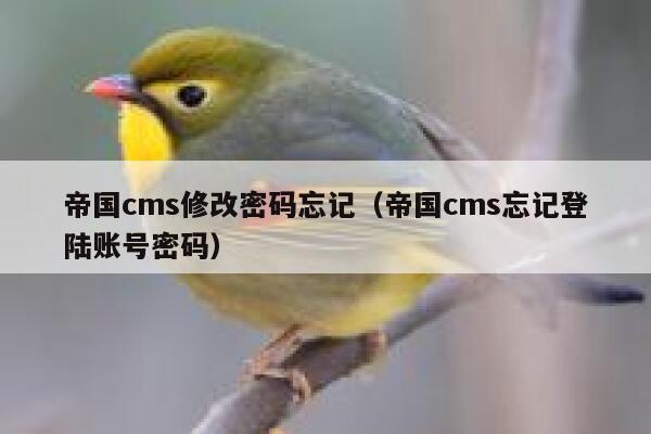 帝国CMS修改密码忘记，帝国CMS忘记登陆账号密码