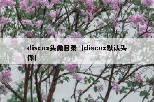 discuz头像目录，discuz默认头像