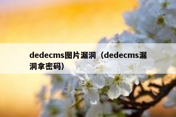 dedecms图片漏洞，dedecms漏洞拿密码
