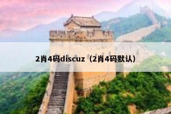 2肖4码discuz，2肖4码默认
