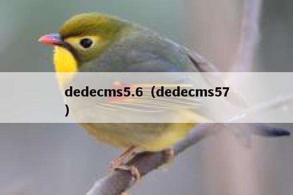 dedecms5.6，dedecms57