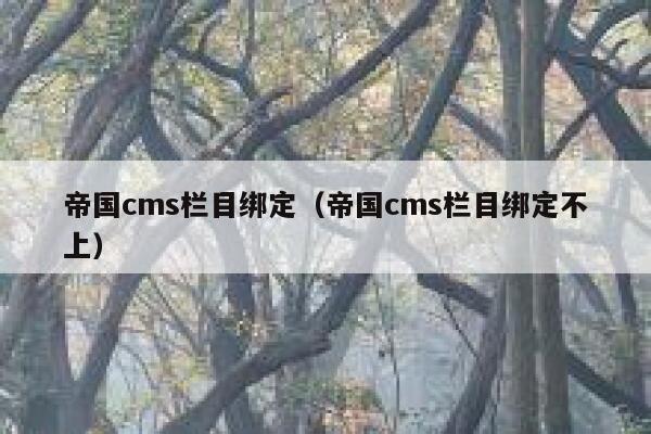 帝国cms栏目绑定，帝国cms栏目绑定不上