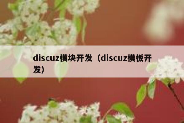 Discuz模块开发，Discuz模板开发