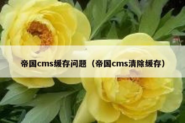 帝国CMS缓存问题，帝国CMS清除缓存