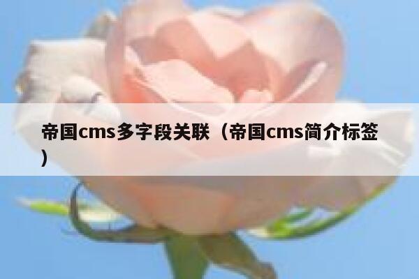 帝国cms多字段关联，帝国cms简介标签