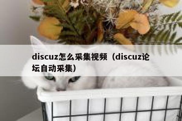 Discuz怎么采集视频，Discuz论坛自动采集