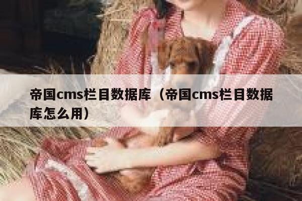 帝国cms栏目数据库，帝国cms栏目数据库怎么用