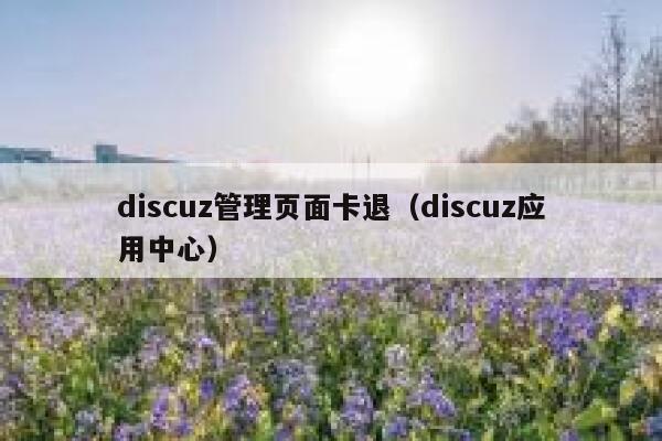 Discuz管理页面卡退，Discuz应用中心