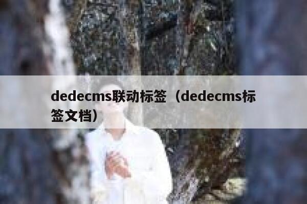 dedecms联动标签，dedecms标签文档