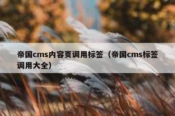 帝国cms内容页调用标签，帝国cms标签调用大全