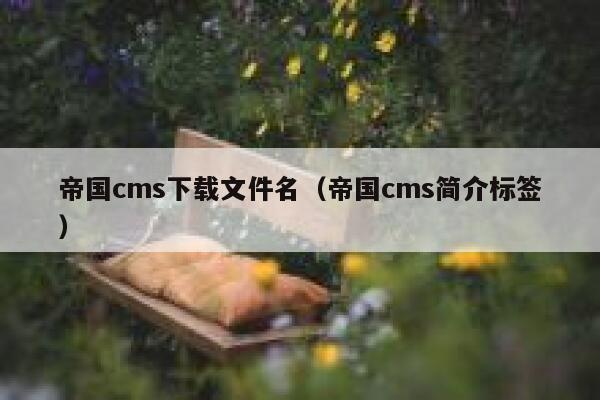 帝国CMS下载文件名，帝国CMS简介标签