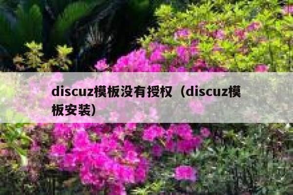 Discuz模板没有授权，Discuz模板安装
