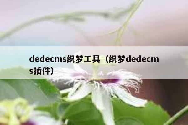 dedecms织梦工具，织梦dedecms插件