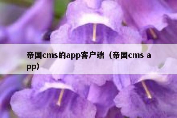 帝国CMS的app客户端，帝国CMS app