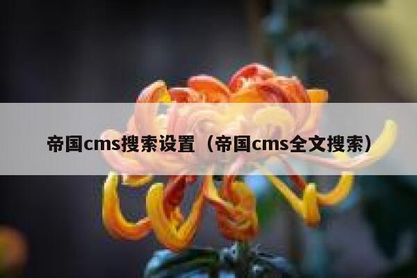 帝国CMS搜索设置，帝国CMS全文搜索